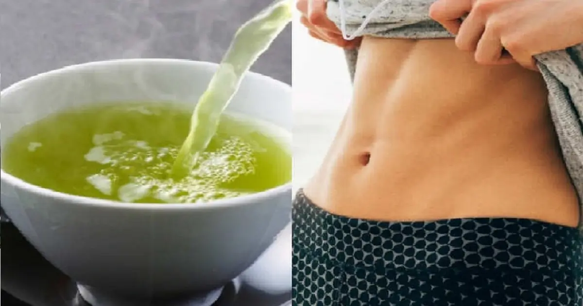 Why Lemon Balm Tea Can Aid in Weight Loss