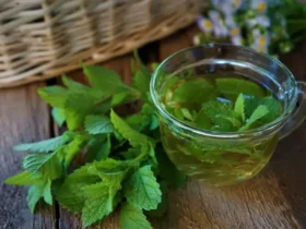 how to make lemon balm tea for weight loss