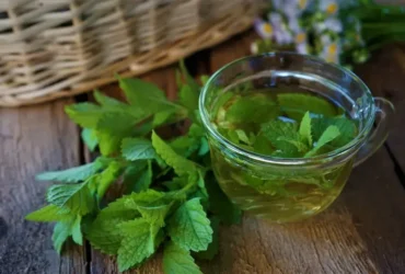 how to make lemon balm tea for weight loss